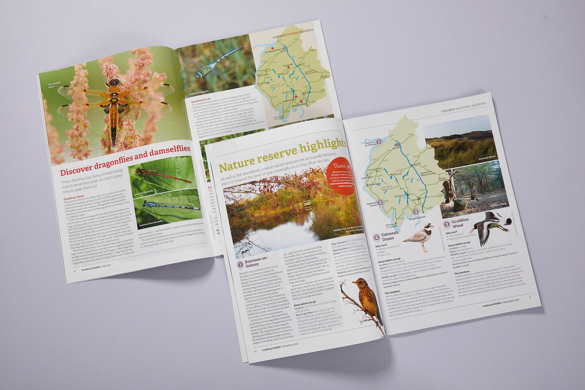 Cumbian wildlife magazine