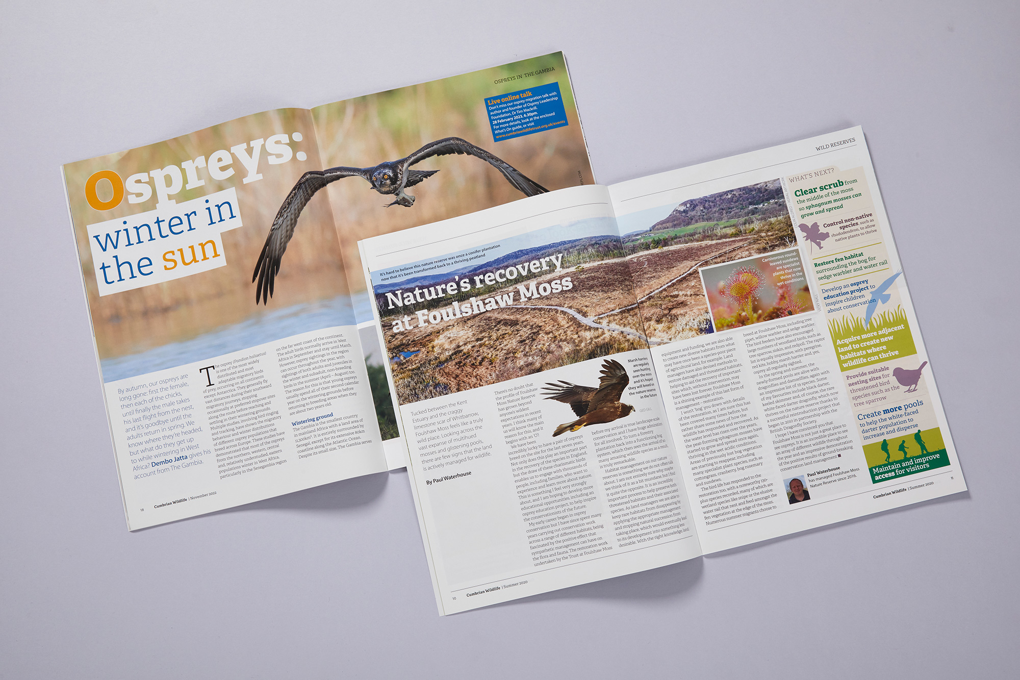 Cumbian wildlife magazine