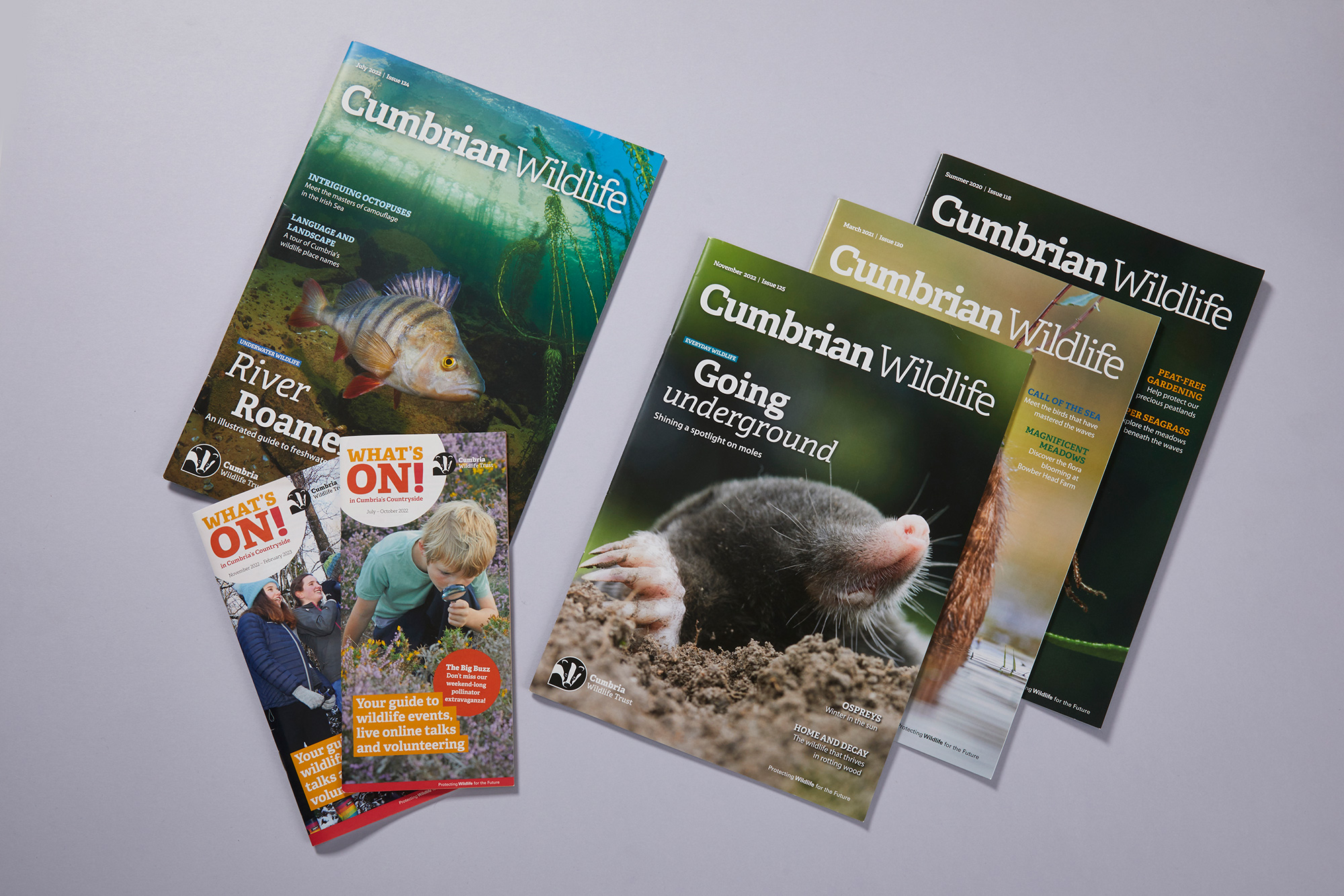 Cumbian wildlife magazine